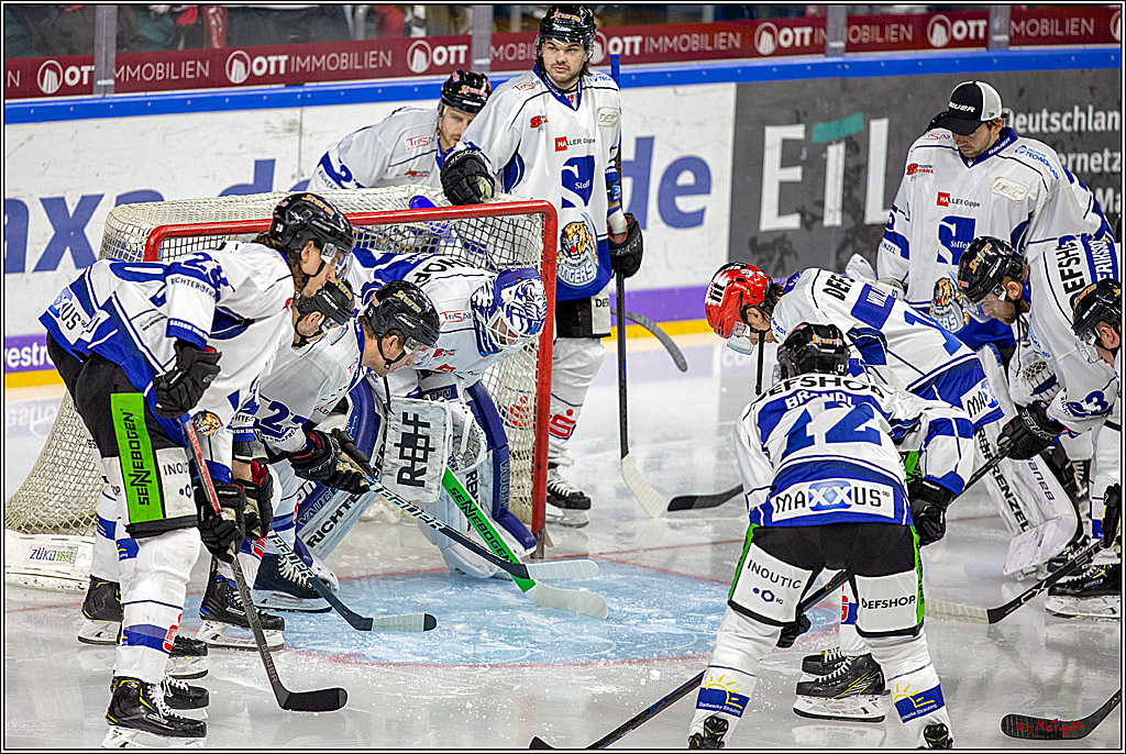 DEL; Koelner Haie - Straubing Tigers, 02.12.2018
